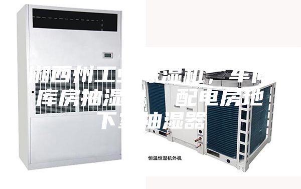 湘西州工業(yè)除濕機，車間庫房抽濕機  配電房地下室抽濕器