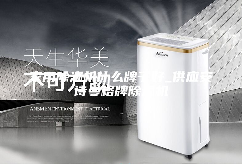 家用除濕機什么牌子好_供應(yīng)安詩曼格牌除濕機