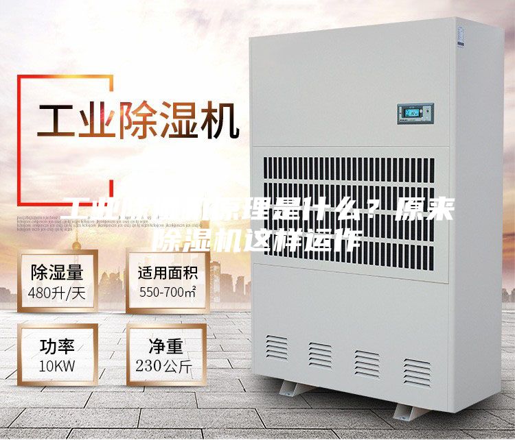 工業(yè)除濕機(jī)原理是什么?原來除濕機(jī)這樣運(yùn)作