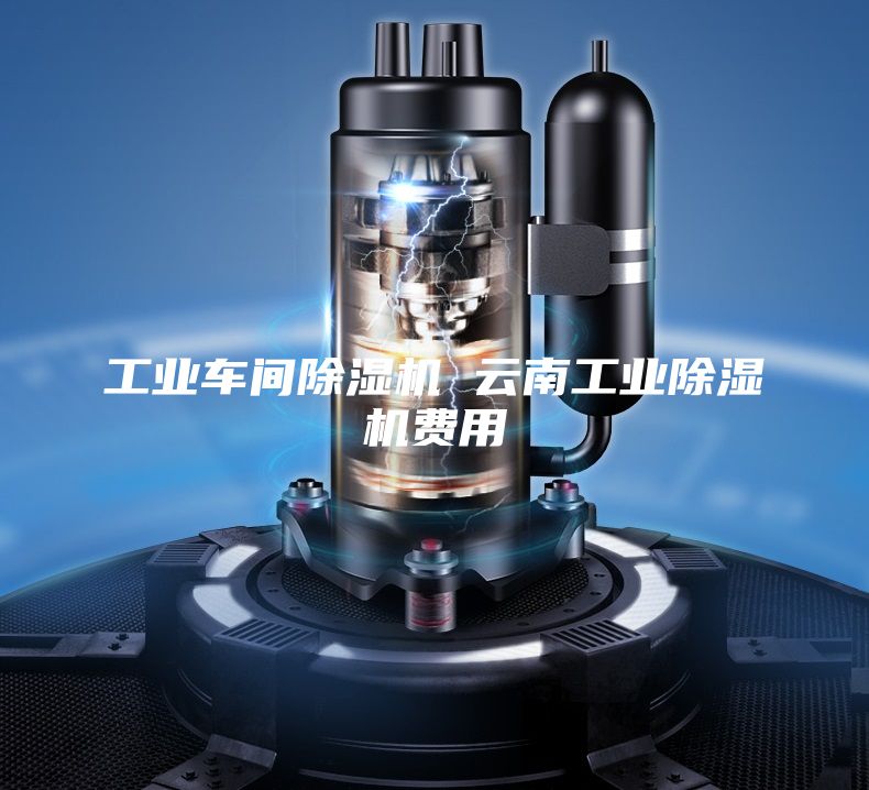 工業(yè)車間除濕機(jī) 云南工業(yè)除濕機(jī)費(fèi)用