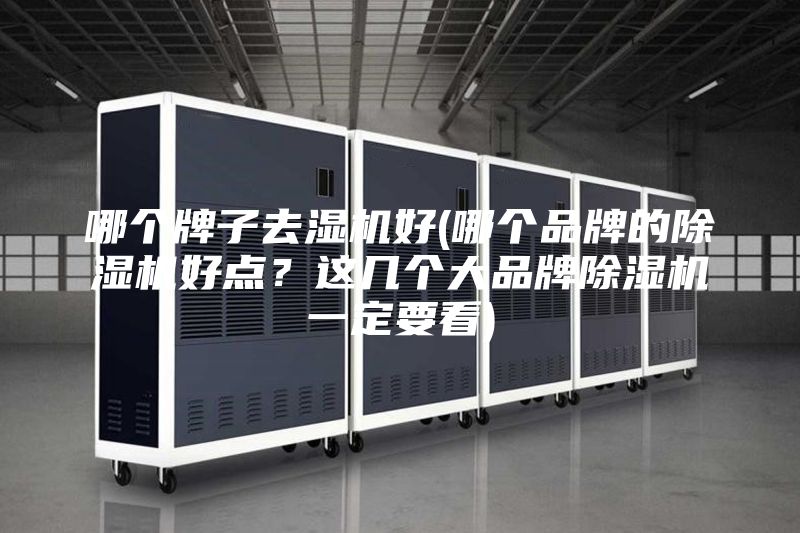 哪個(gè)牌子去濕機(jī)好(哪個(gè)品牌的除濕機(jī)好點(diǎn)？這幾個(gè)大品牌除濕機(jī)一定要看)