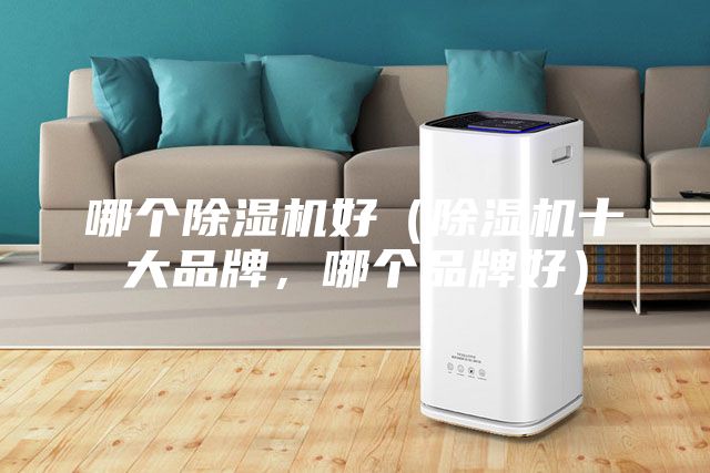 哪個除濕機好（除濕機十大品牌，哪個品牌好）