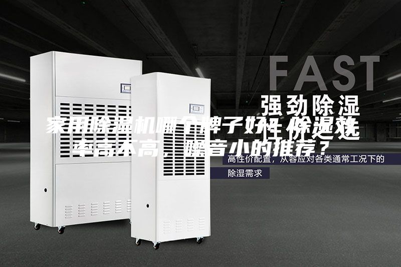 家用除濕機哪個牌子好？除濕效率高不高，噪音小的推薦？