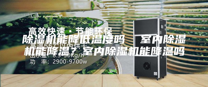 除濕機(jī)能降低溫度嗎  室內(nèi)除濕機(jī)能降溫？室內(nèi)除濕機(jī)能降溫嗎