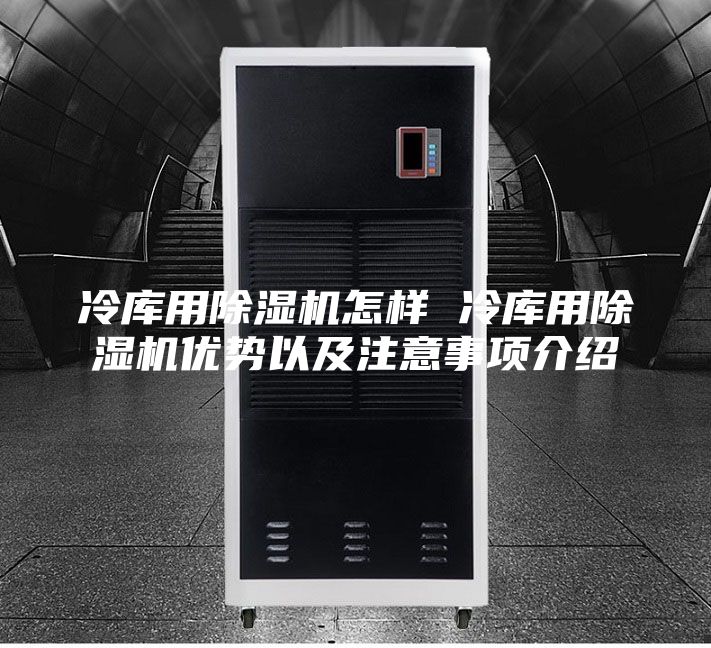 冷庫用除濕機怎樣 冷庫用除濕機優勢以及注意事項介紹