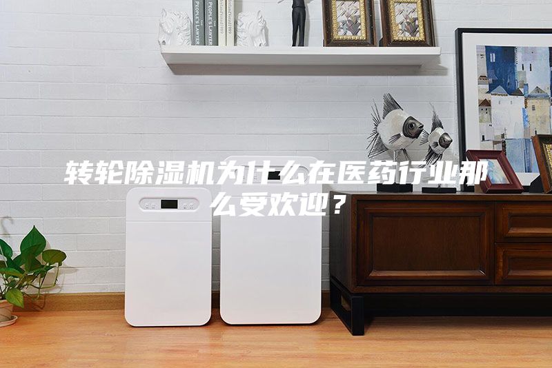 轉(zhuǎn)輪除濕機為什么在醫(yī)藥行業(yè)那么受歡迎?