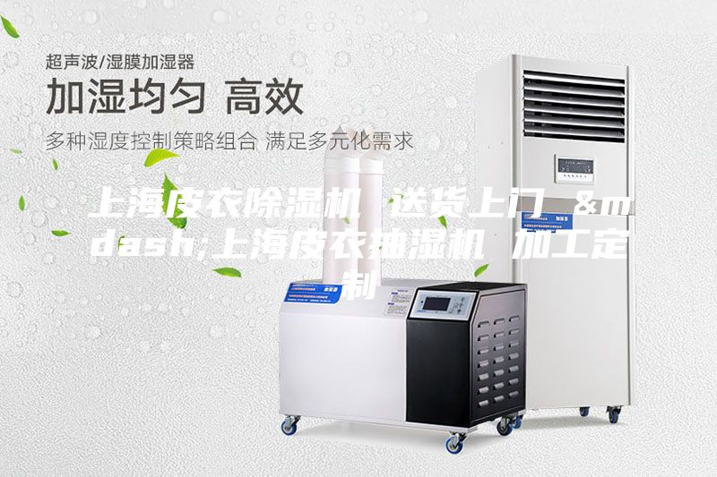 上海皮衣除濕機(jī) 送貨上門(mén) &mdash;上海皮衣抽濕機(jī) 加工定制