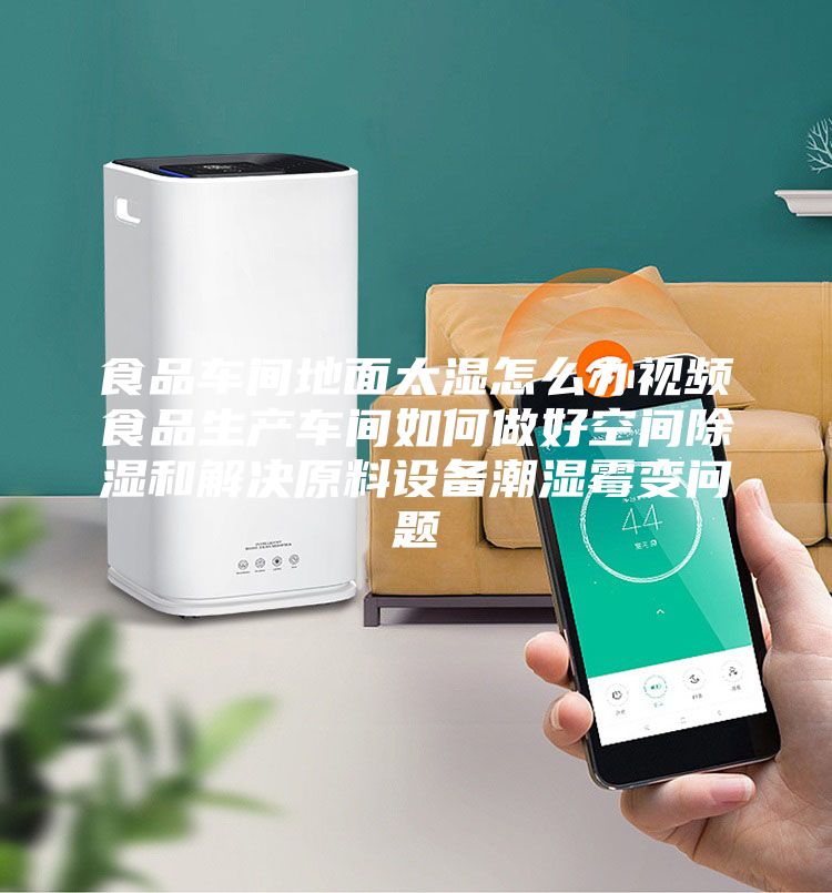 食品車間地面太濕怎么辦視頻食品生產(chǎn)車間如何做好空間除濕和解決原料設備潮濕霉變問題