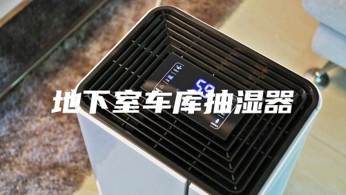 地下室車庫(kù)抽濕器