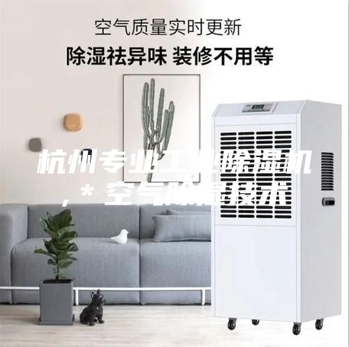 杭州專業(yè)工業(yè)除濕機(jī),*空氣除濕技術(shù)