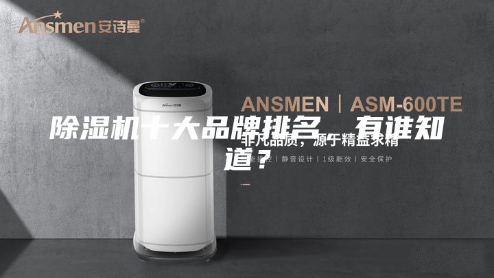 除濕機十大品牌排名,有誰知道?