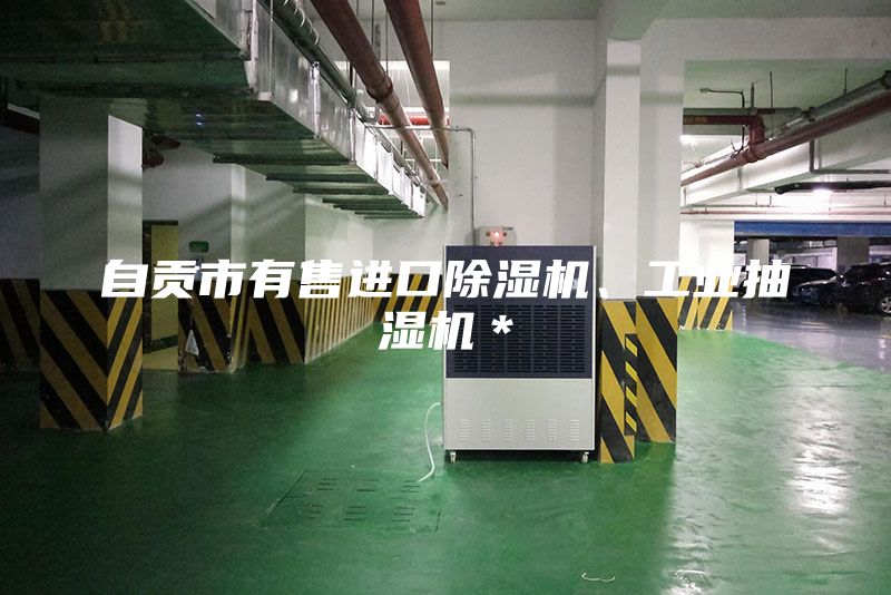 自貢市有售進口除濕機、工業抽濕機＊
