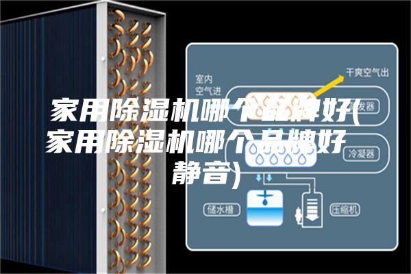 家用除濕機哪個品牌好(家用除濕機哪個品牌好 靜音)