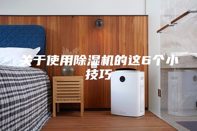 關于使用除濕機的這6個小技巧