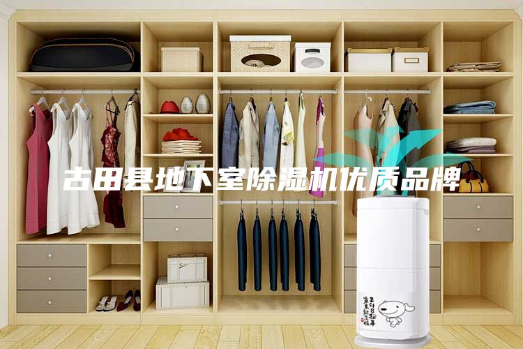古田縣地下室除濕機(jī)優(yōu)質(zhì)品牌