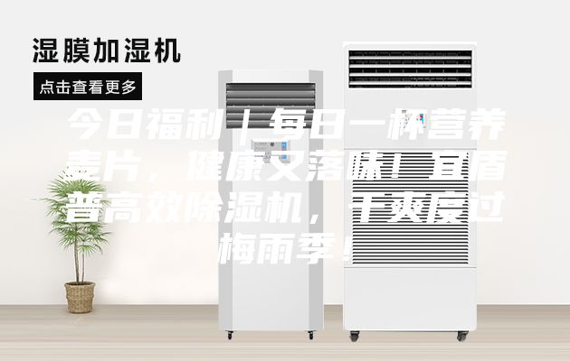 今日福利｜每日一杯營養麥片，健康又落味！宜盾普高效除濕機，干爽度過梅雨季！