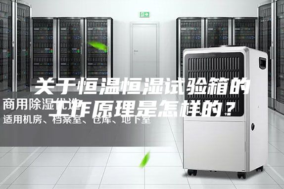 關于恒溫恒濕試驗箱的工作原理是怎樣的？