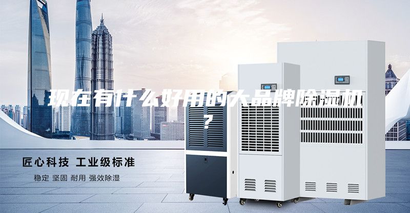 現在有什么好用的大品牌除濕機？