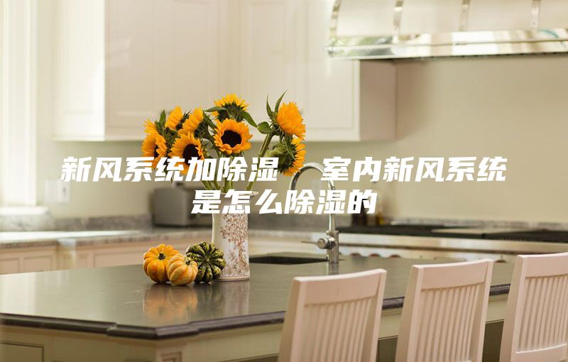 新風(fēng)系統(tǒng)加除濕 室內(nèi)新風(fēng)系統(tǒng)是怎么除濕的
