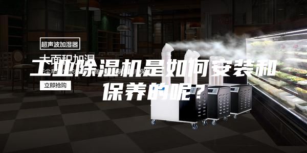 工業除濕機是如何安裝和保養的呢？