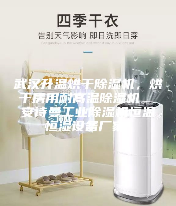 武漢升溫烘干除濕機，烘干房用耐高溫除濕機  安詩曼工業(yè)除濕機恒溫恒濕設(shè)備廠家！