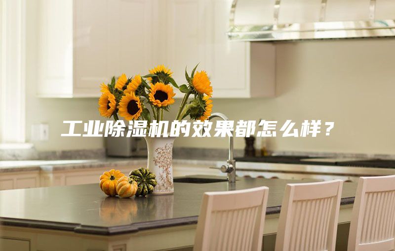工業除濕機的效果都怎么樣？