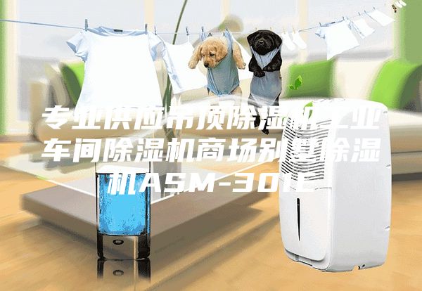 專業供應吊頂除濕機工業車間除濕機商場別墅除濕機ASM-301E