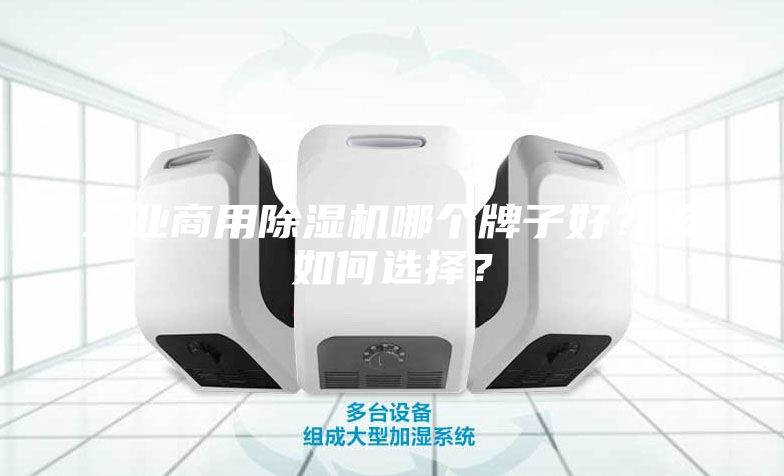 工業(yè)商用除濕機(jī)哪個牌子好？該如何選擇？
