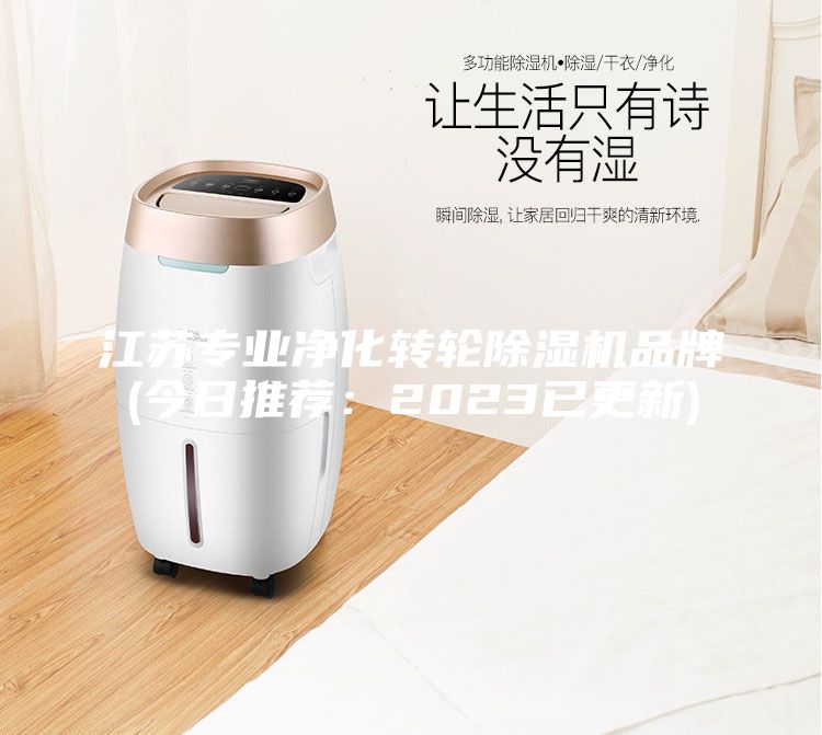 江蘇專業凈化轉輪除濕機品牌(今日推薦:2023已更新)