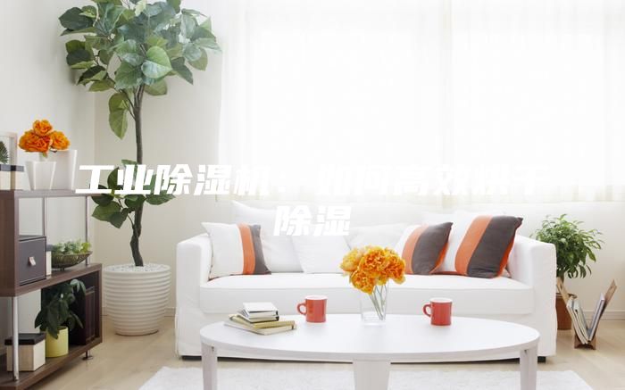 工業除濕機：如何高效烘干除濕