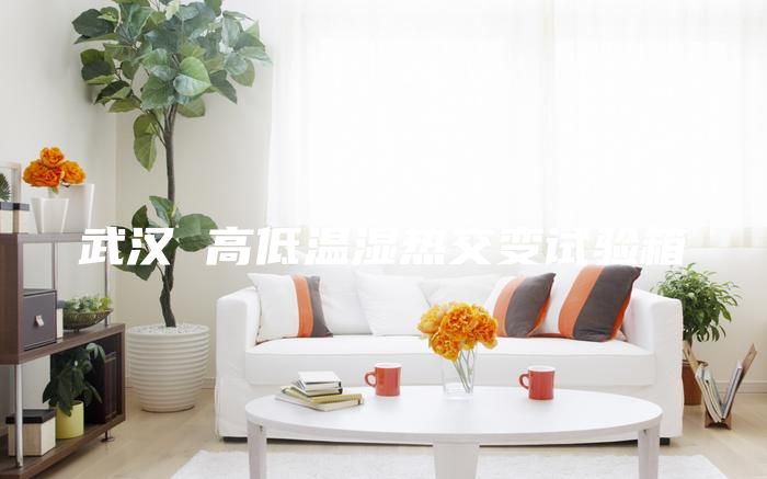 武漢 高低溫濕熱交變?cè)囼?yàn)箱