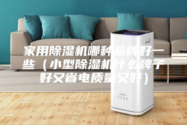 家用除濕機哪種品牌好一些(小型除濕機什么牌子好又省電質量又好)