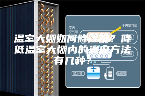 溫室大棚如何降濕度?降低溫室大棚內(nèi)的濕度方法有幾種?