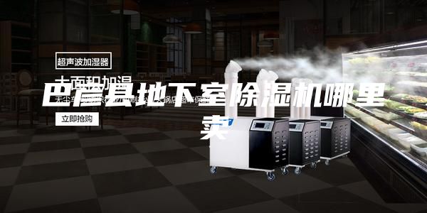巴彥縣地下室除濕機(jī)哪里賣