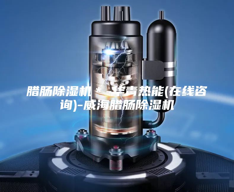 臘腸除濕機(jī)＊-華青熱能(在線咨詢)-威海臘腸除濕機(jī)
