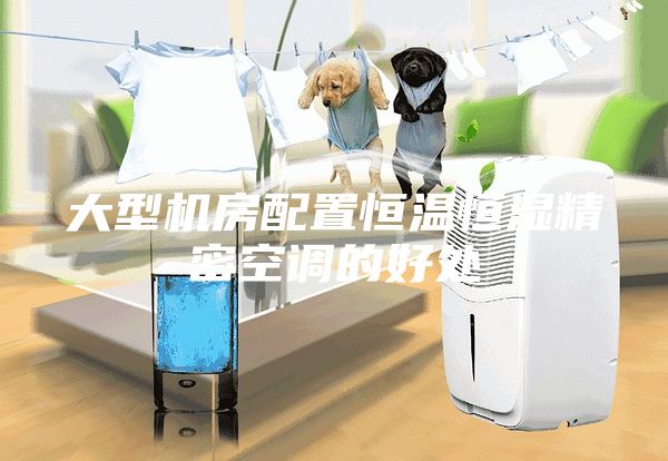 大型機(jī)房配置恒溫恒濕精密空調(diào)的好處
