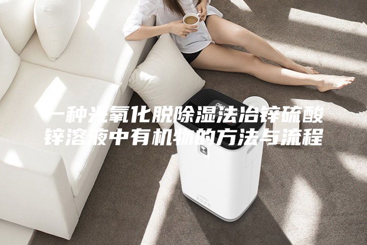 一種光氧化脫除濕法冶鋅硫酸鋅溶液中有機物的方法與流程