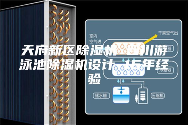 天府新區(qū)除濕機 四川游泳池除濕機設計 15年經(jīng)驗