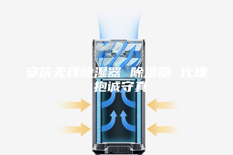安慶無(wú)線除濕器 除濕器 代理 抱誠(chéng)守真