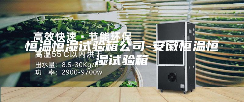 恒溫恒濕試驗箱公司-安徽恒溫恒濕試驗箱