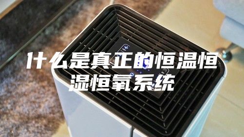 什么是真正的恒溫恒濕恒氧系統