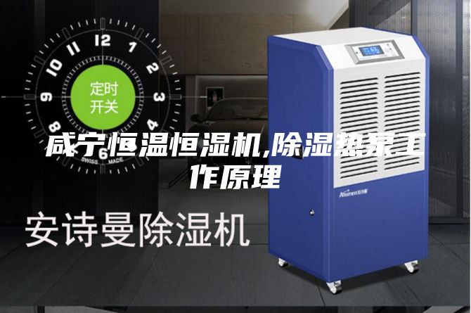 咸寧恒溫恒濕機,除濕熱泵工作原理