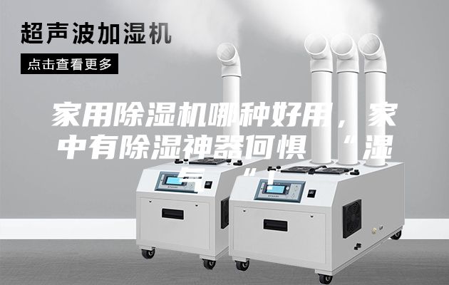 家用除濕機哪種好用，家中有除濕神器何懼 “濕氣 “！
