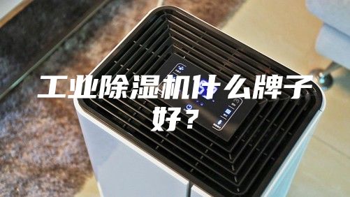 工業除濕機什么牌子好?