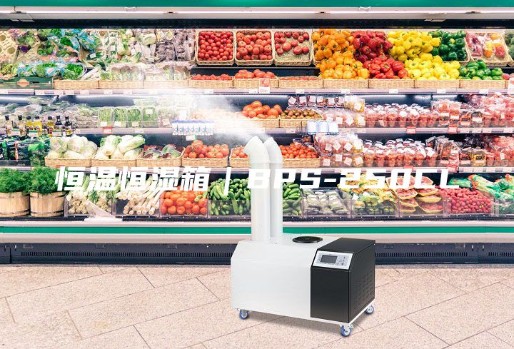 恒溫恒濕箱｜BPS-250CL