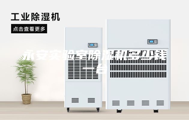 永安實驗室除濕機多少錢一臺