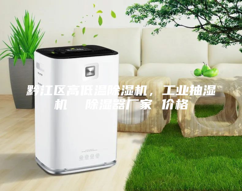 黔江區(qū)高低溫除濕機，工業(yè)抽濕機  除濕器廠家 價格