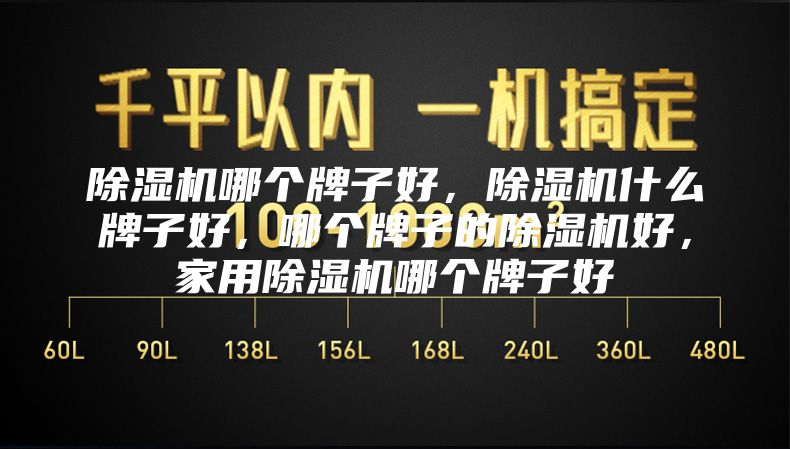 除濕機哪個牌子好，除濕機什么牌子好，哪個牌子的除濕機好，家用除濕機哪個牌子好