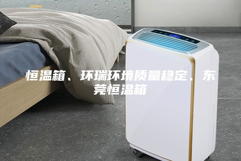 恒溫箱、環瑞環境質量穩定、東莞恒溫箱