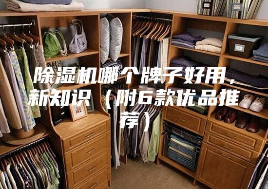 除濕機哪個牌子好用，新知識（附6款優品推薦）